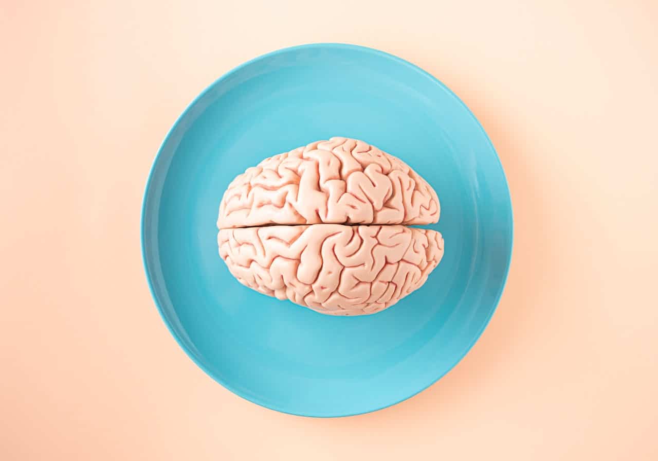 Neuroplasticité et santé mentale : ce qui fonctionne selon la science