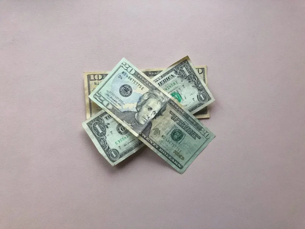 person budgeting