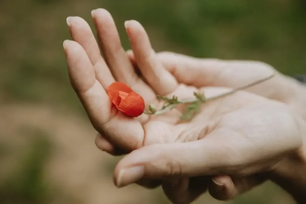 people sharing kindness
