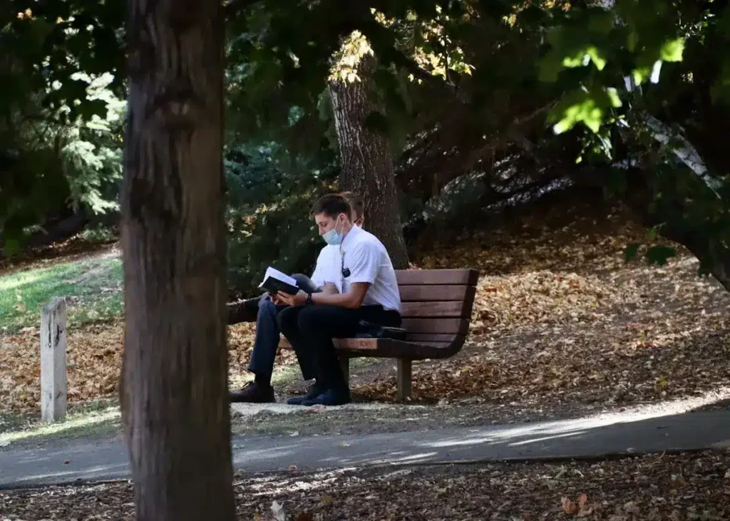 person reading thoughtfully