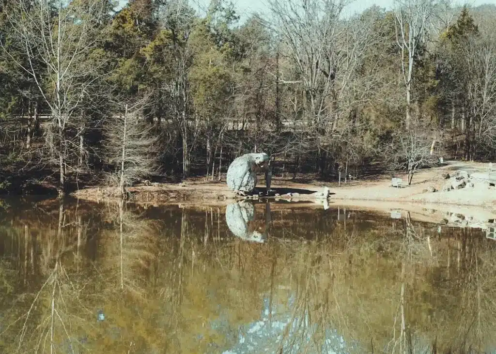 person reflecting nature