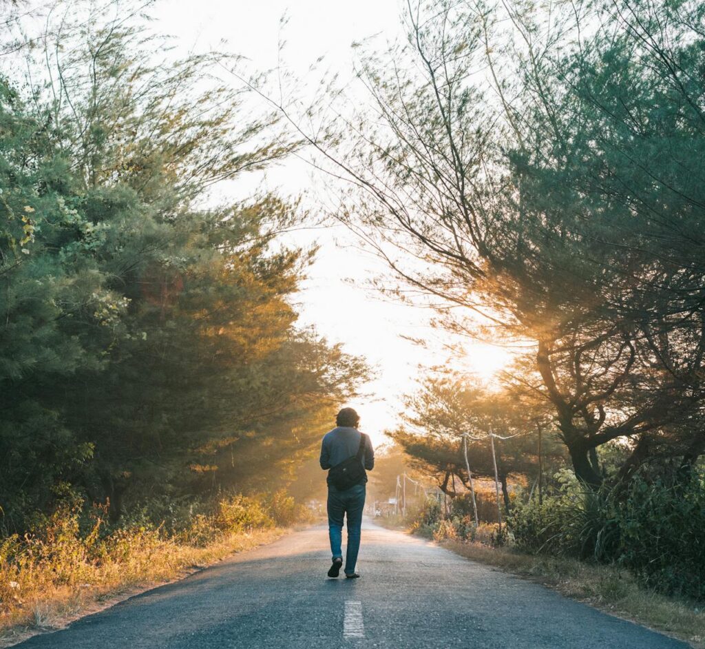 Person walking alone toward sunset on a tree-lined road.