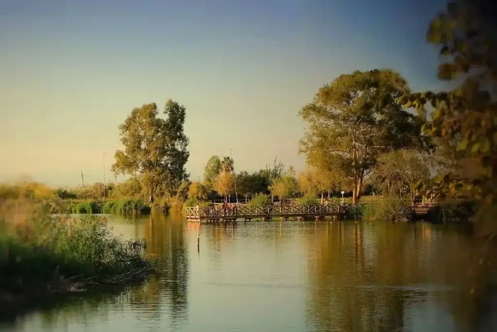 person reflecting nature