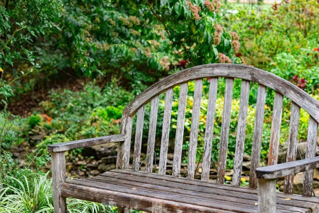 person calming garden