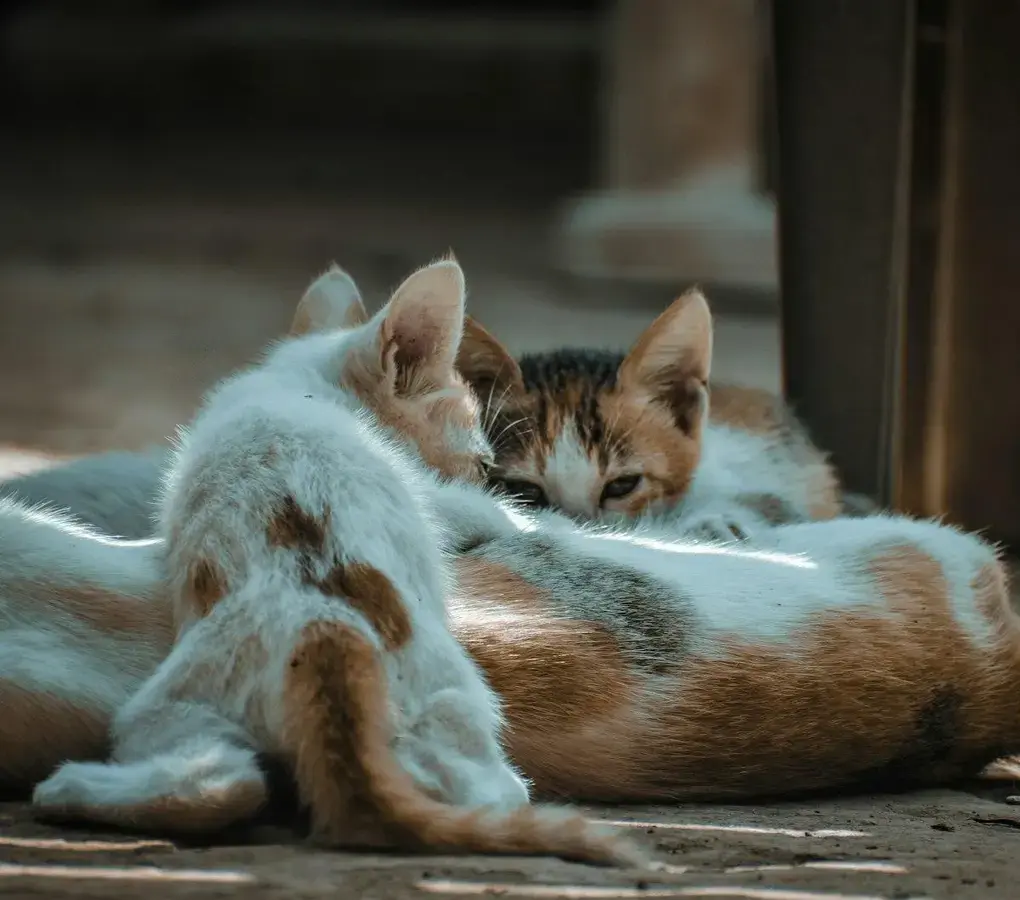 person comforting friend