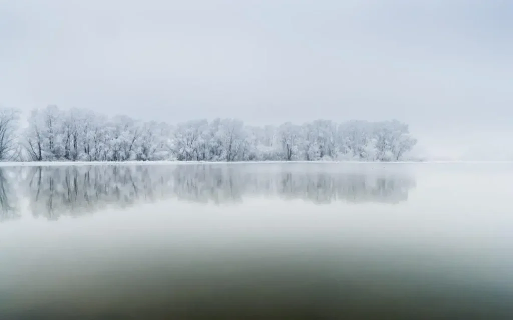 person reflecting outdoors